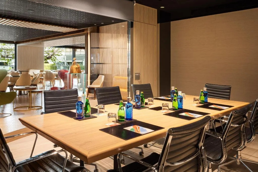 Conferences, The Level At Hotel Melia Castilla, Madrid