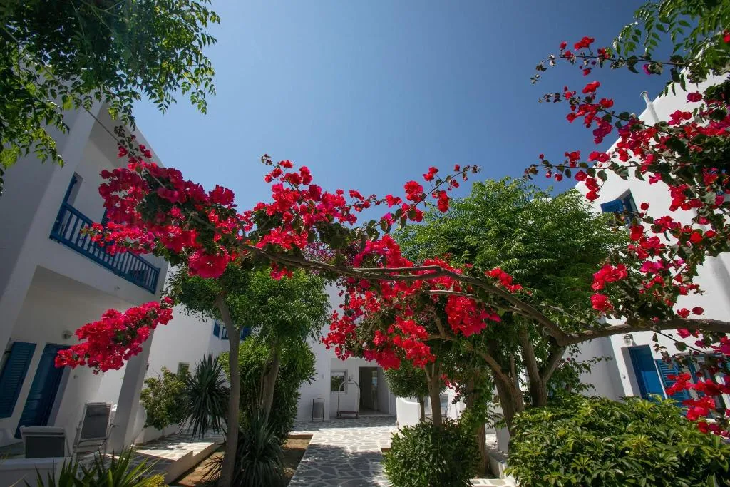TRIPLE DELUXE GARDEN VIEW Room, Acrogiali, Mykonos