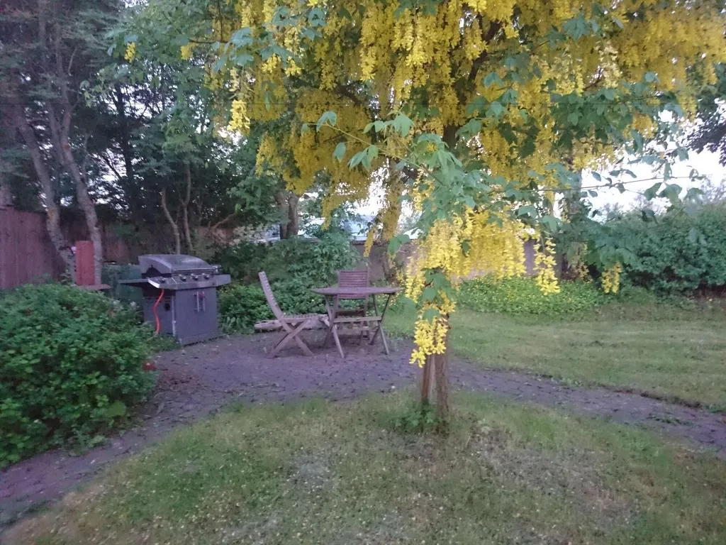 Sports and Entertainment, Alba Guesthouse, Reykjavik