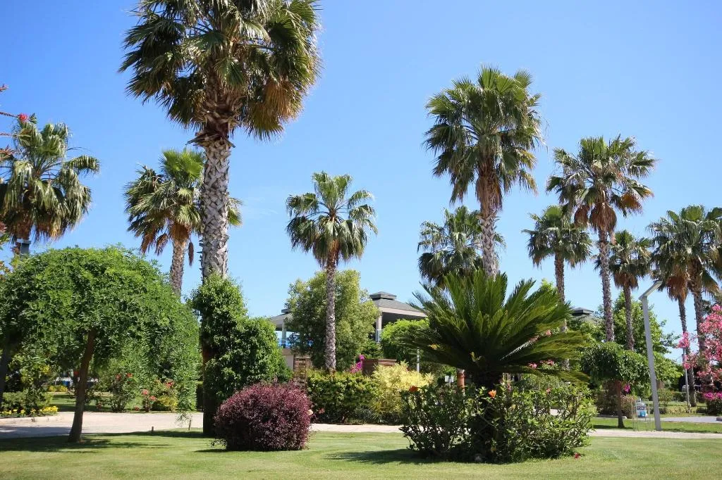 Sports and Entertainment, Jacaranda Hotel, Antalya