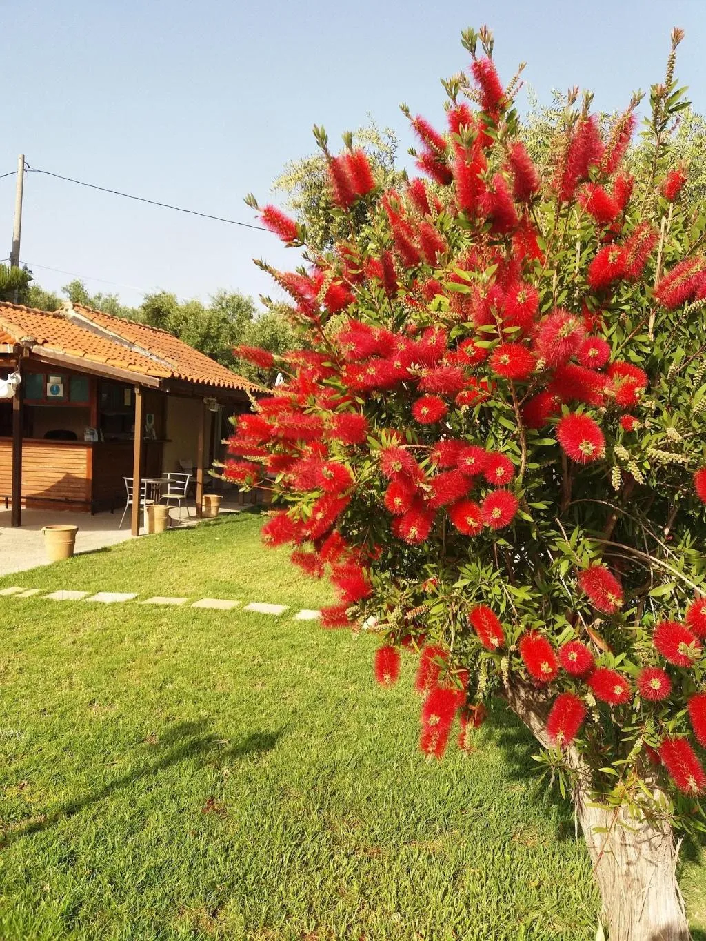General view, Sole E Mare Apartments, Zante