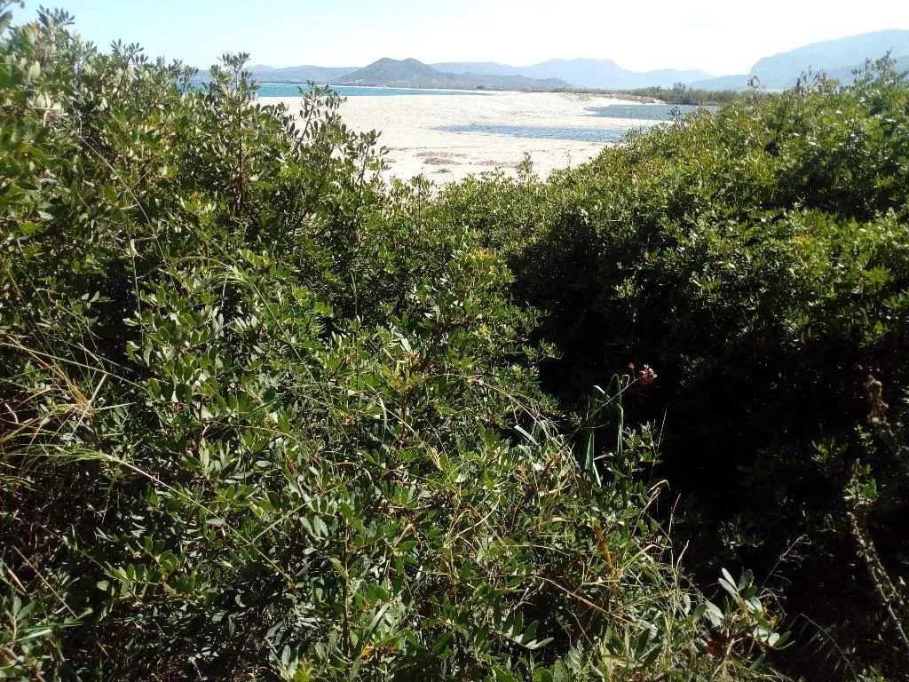 Beach, Hotel Velasole, Olbia