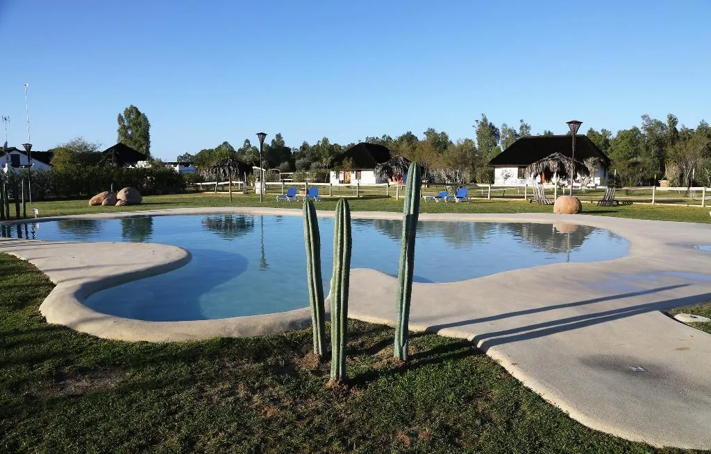 Pool, Ardea Purpurea, Andalucia