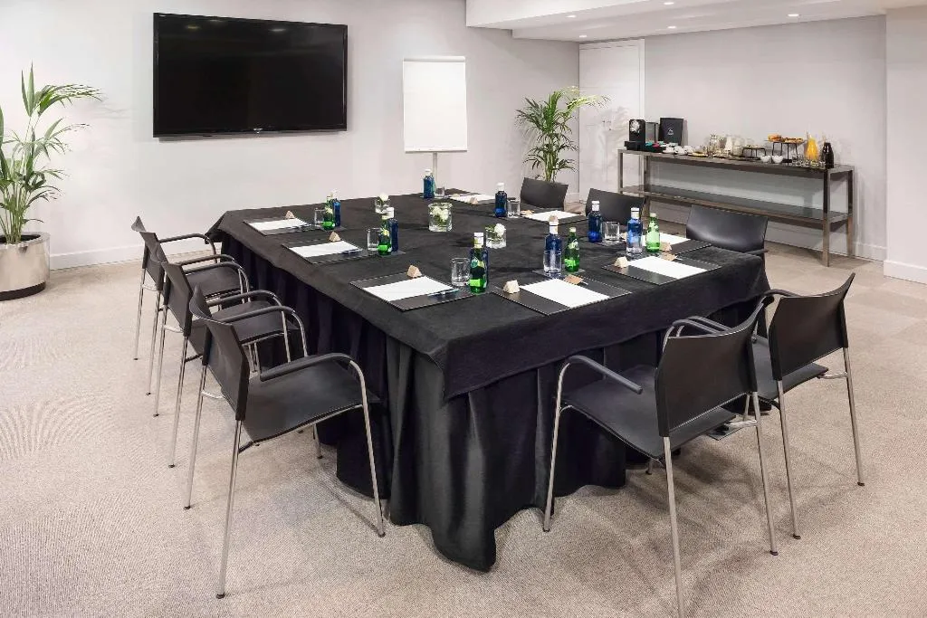 Conferences, The Level At Hotel Melia Castilla, Madrid