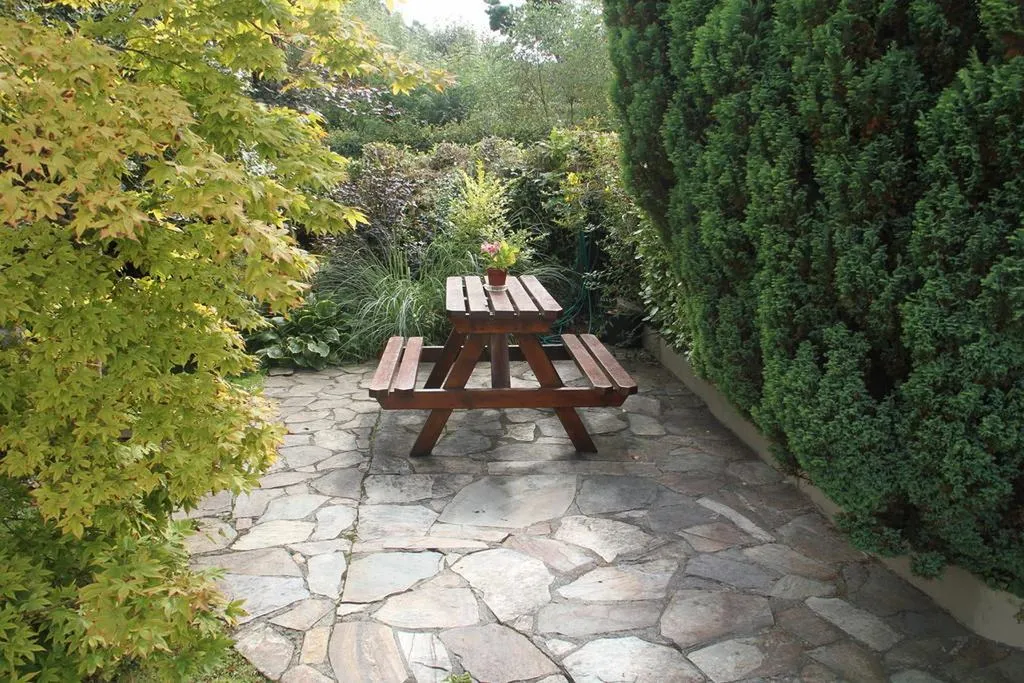 Terrace, Marguerites, Cork
