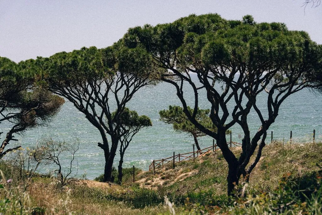 Beach, Masana Algarve, Algarve