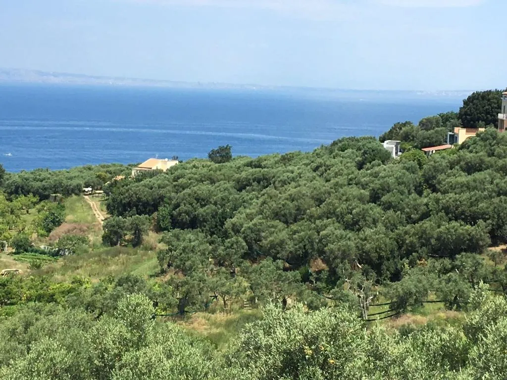 General view, Dania, Naples