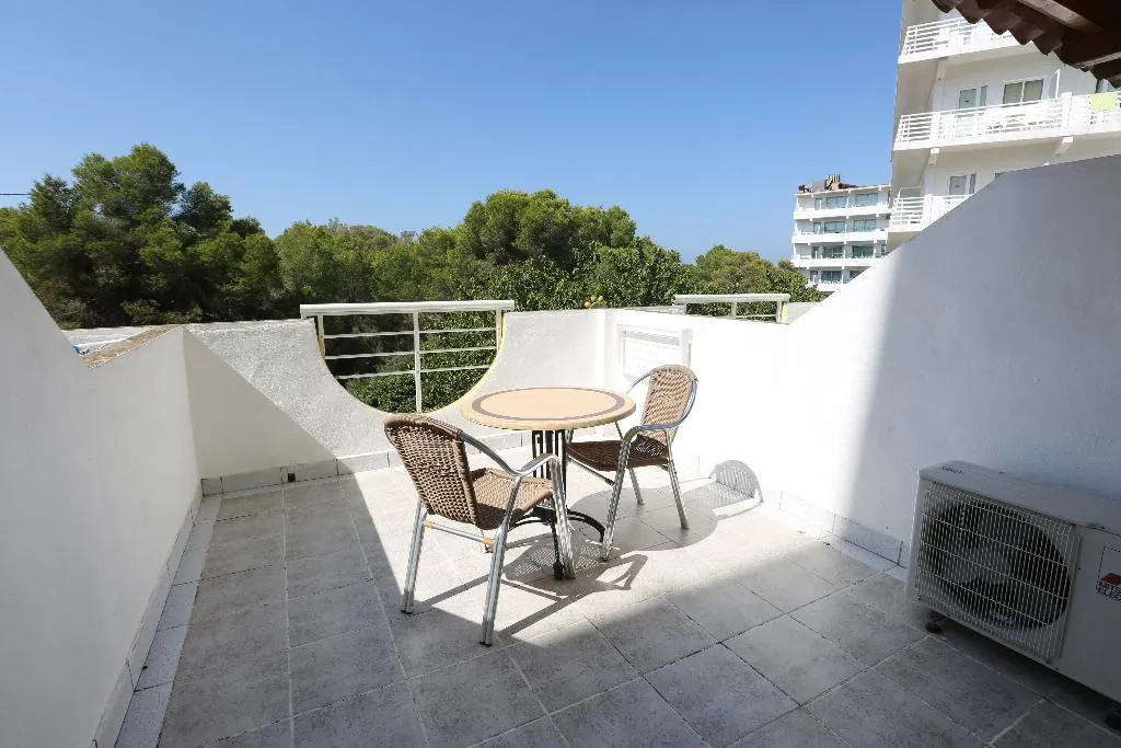 Room, Manaus, Majorca
