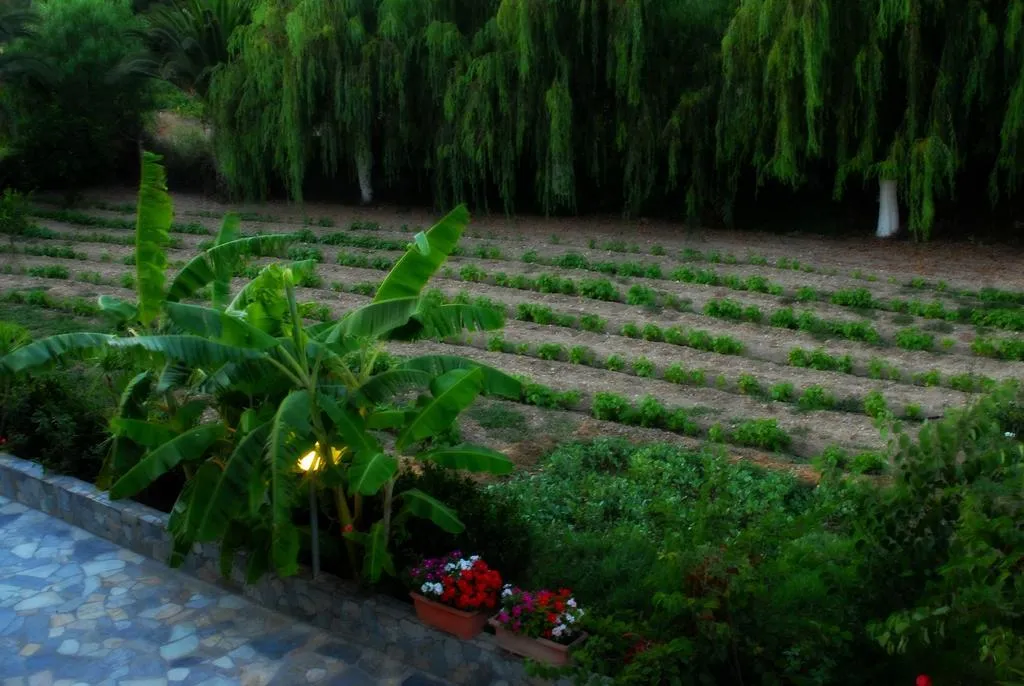 General view, Jovanna Studios, Kefallinia