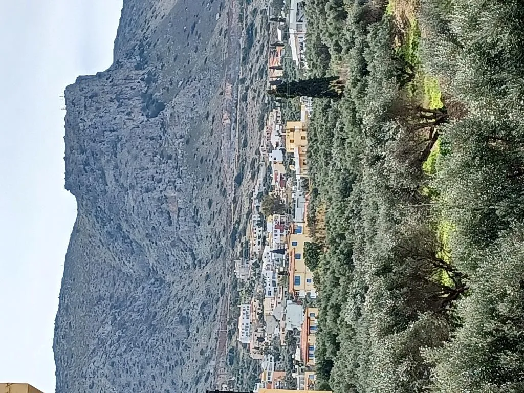 STUDIO CAPACITY 2 Room, Olympic Star, Crete