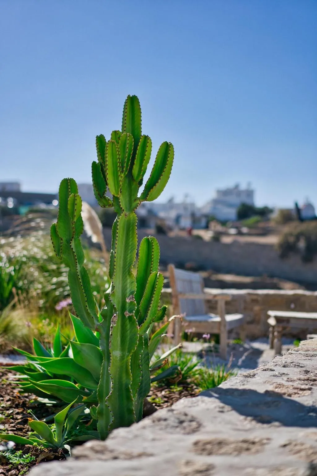 General view, San Antonio Summerland, Mykonos
