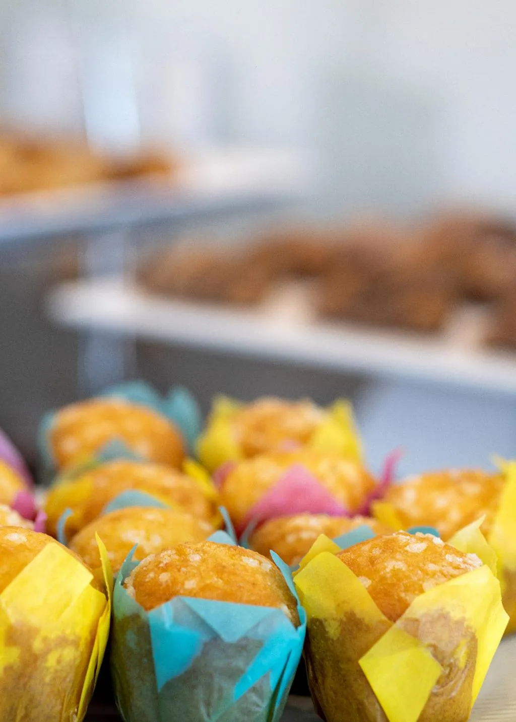 Restaurant, Oporto Airport & Business Hotel, Porto