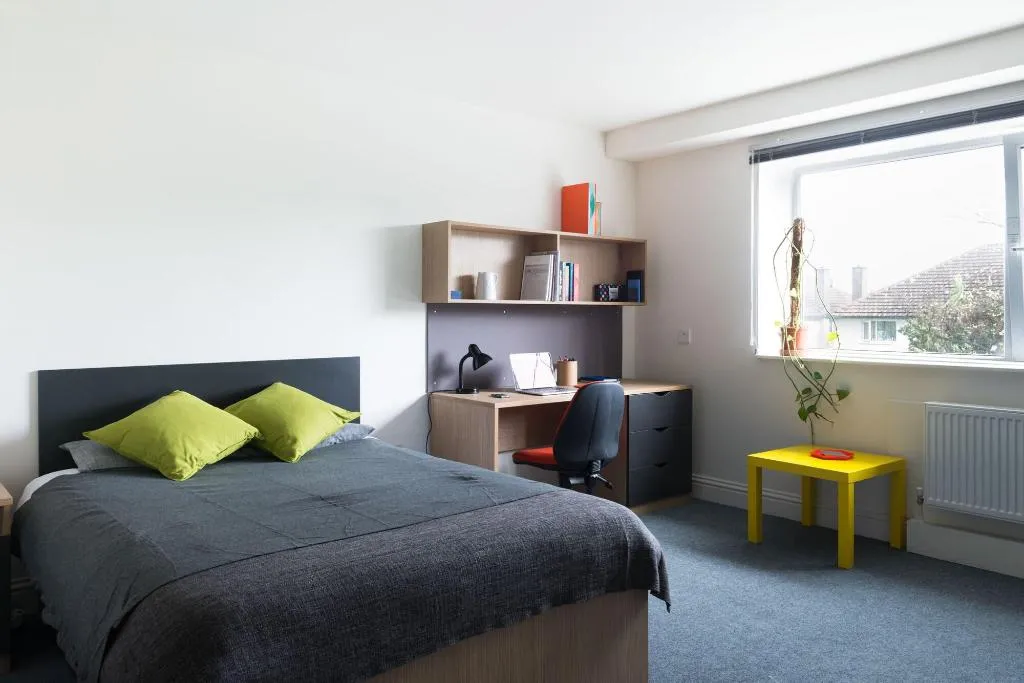 Room, The Montrose, Dublin