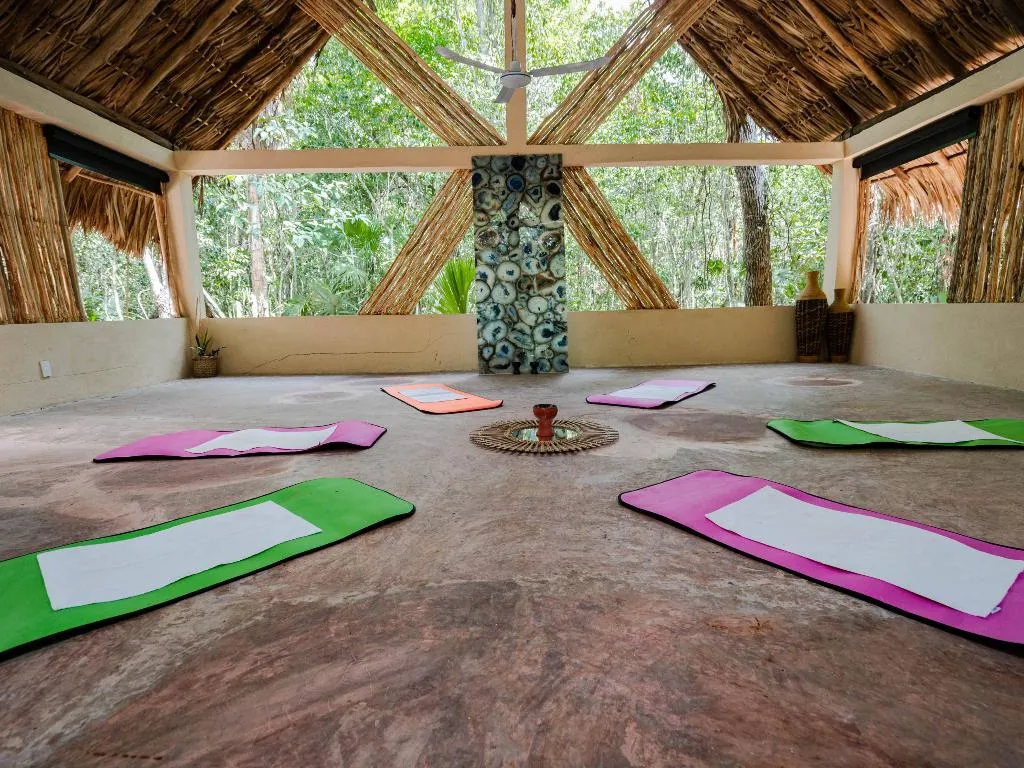 Conferences, Jolie Jungle, Cancun Area