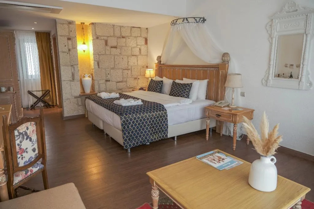 TRIPLE EXECUTIVE Room, Cocos the Club Solto, Izmir