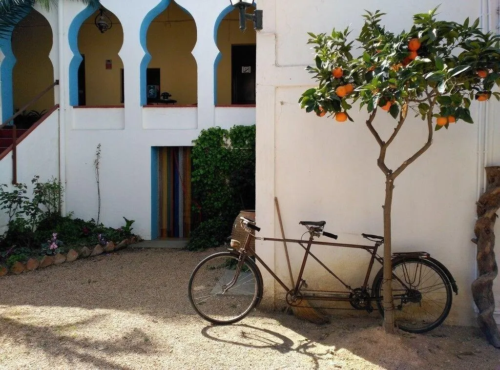 Terrace, Hostal L'Estrella, Costa Brava
