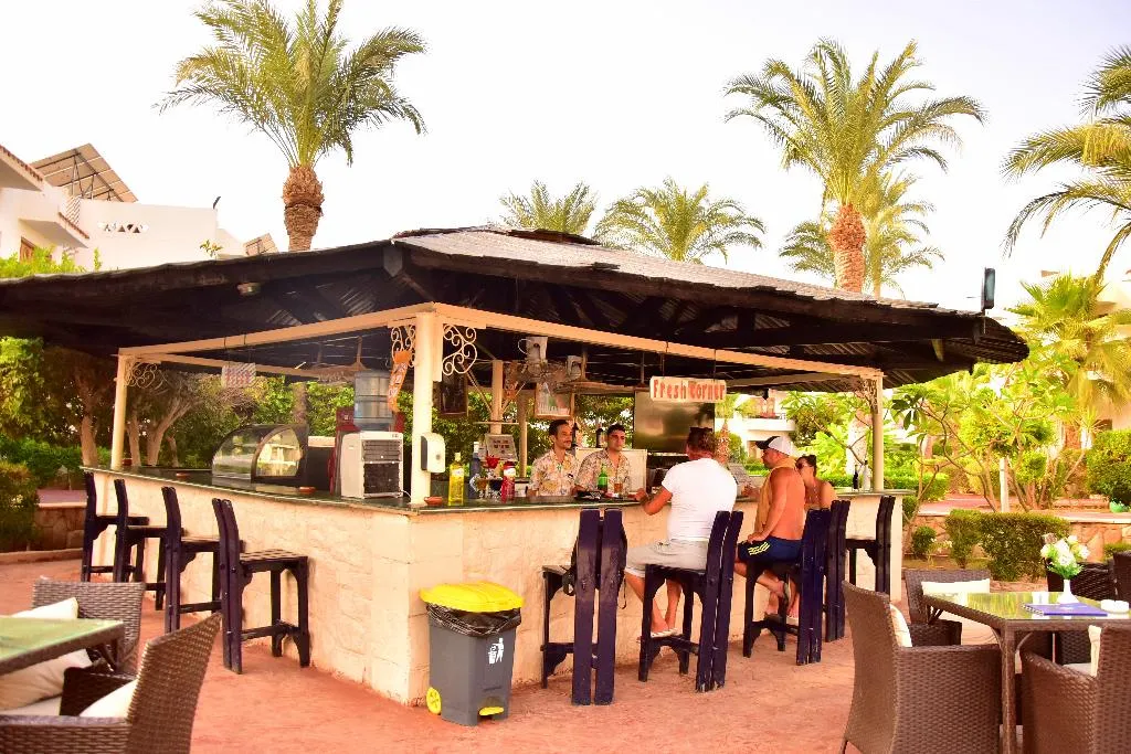 Bar, Dive Inn Resort, Red Sea Riviera