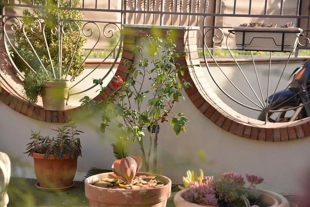Lobby, B&B Le Cycas, Naples