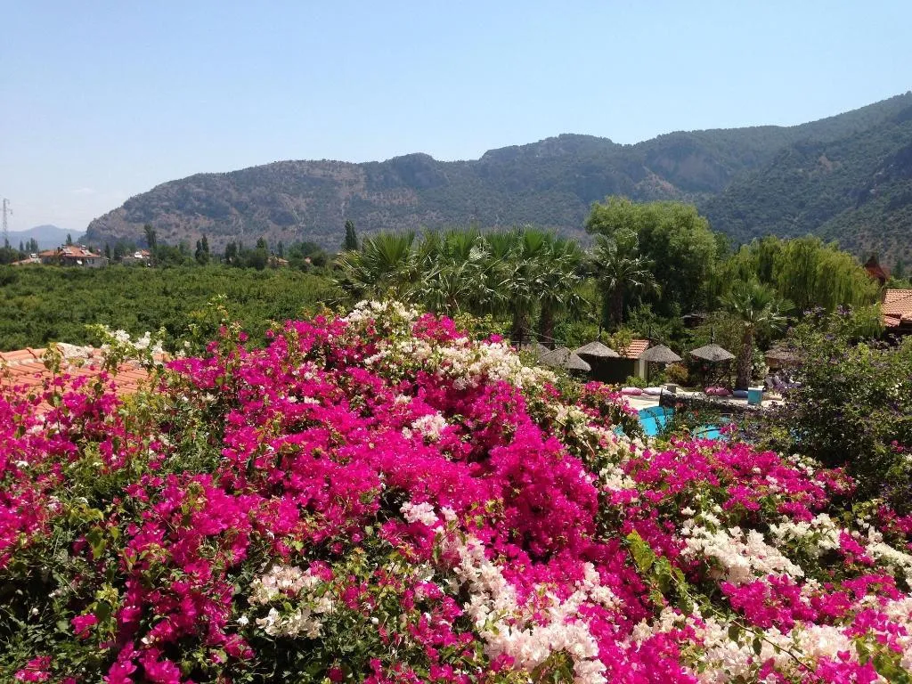 Room, Bahaus Resort, Dalaman