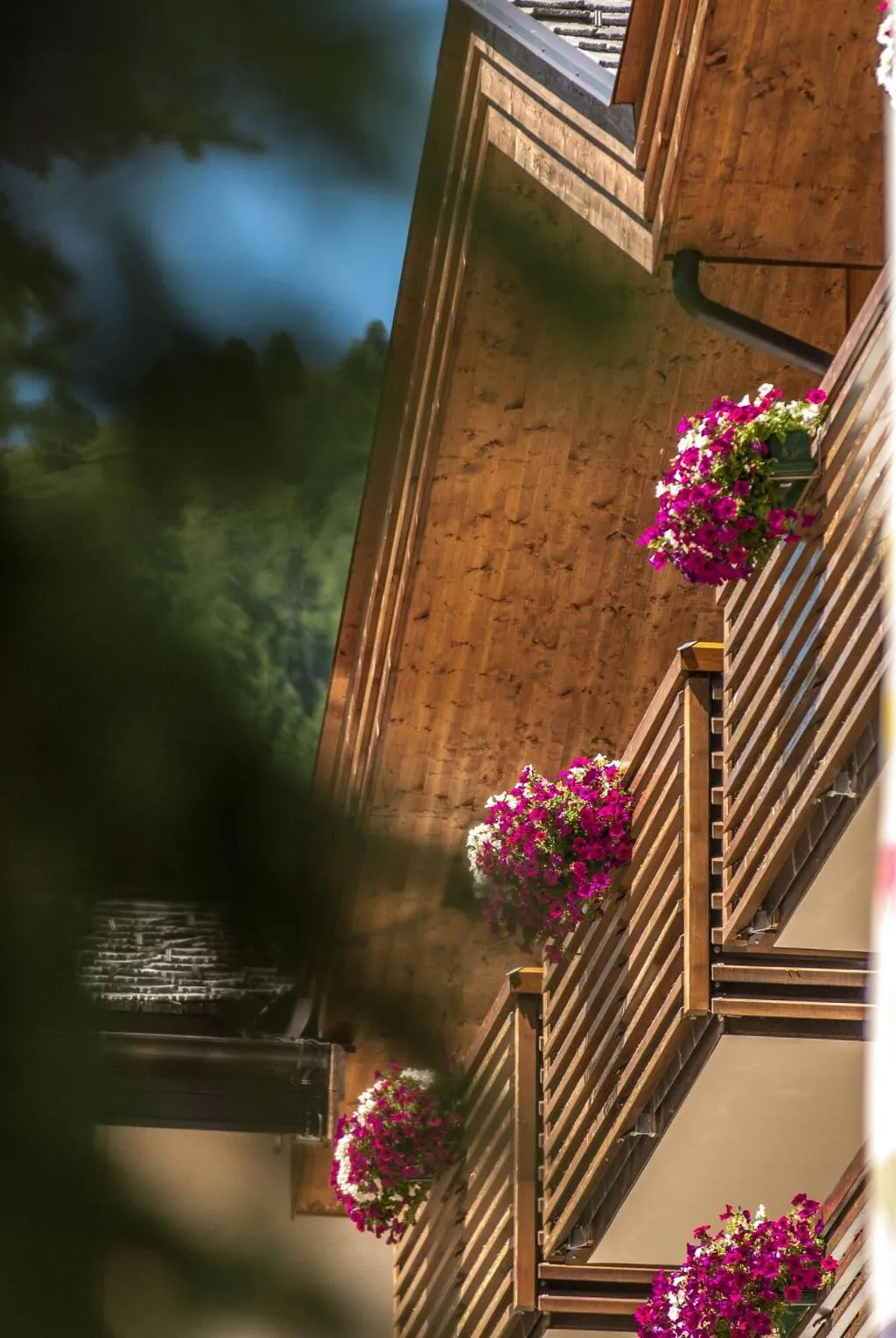 General view, Lac Salin Spa & Mountain Resort, Milan