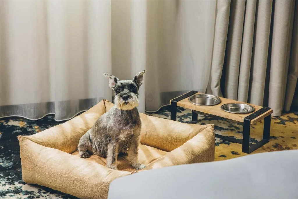 SUITE STANDARD Room, Grand Hyatt Barcelona, Barcelona