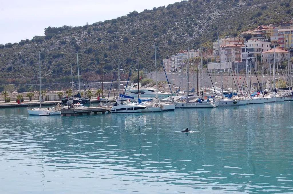 Sports and Entertainment, Olympos Mitos, Antalya
