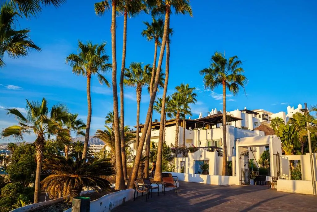 General view, Playaolid Suites and Apartments, Tenerife