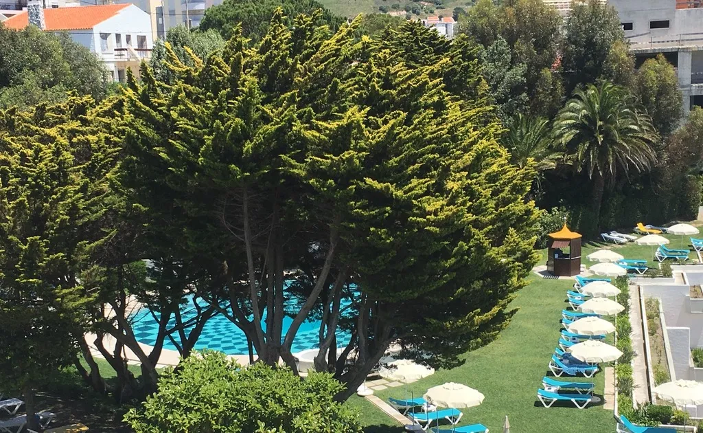 Pool, Hotel do Mar, Lisbon
