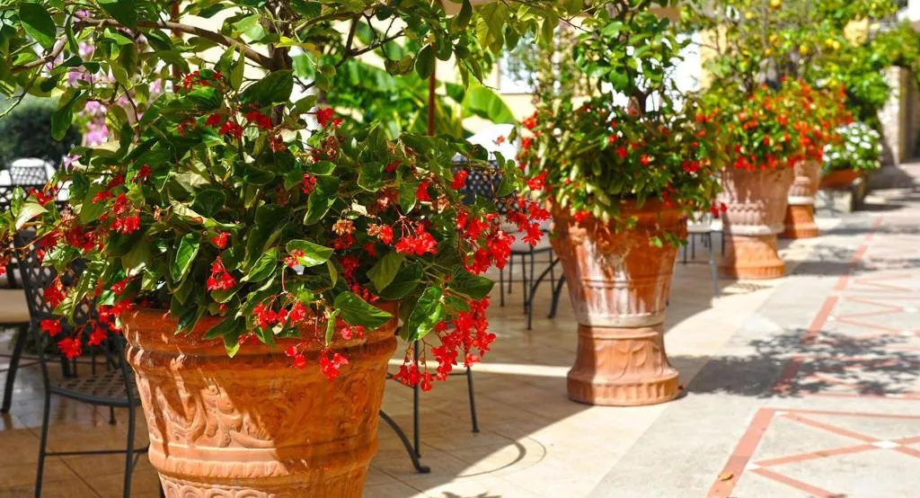Terrace, Hotel Marincanto, Naples