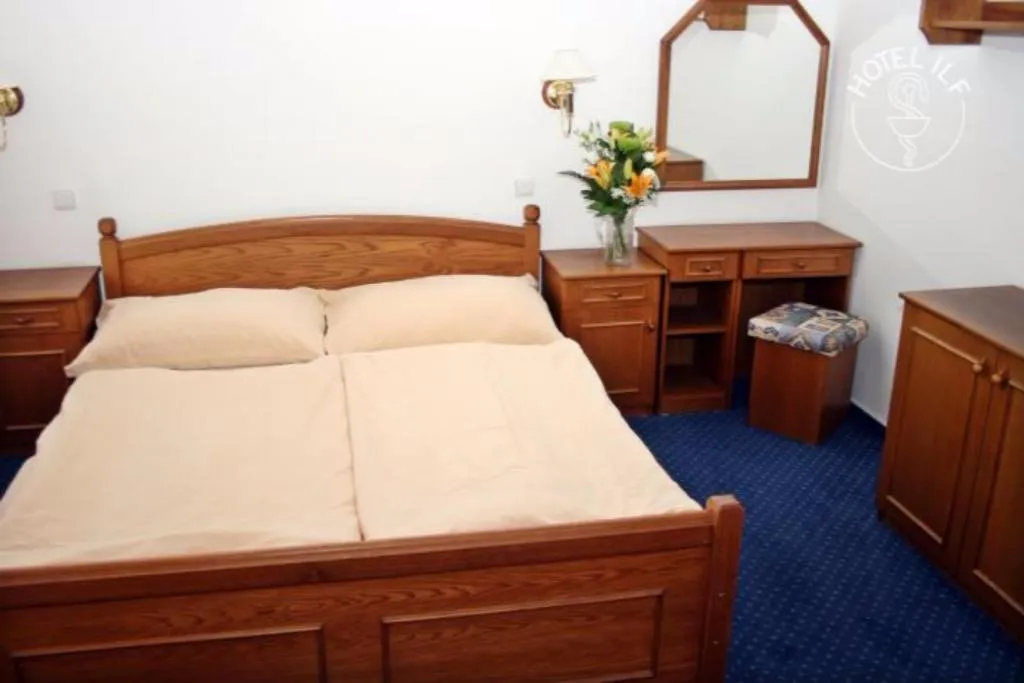 DOUBLE STANDARD Room, ILF Hotel Prague, Prague