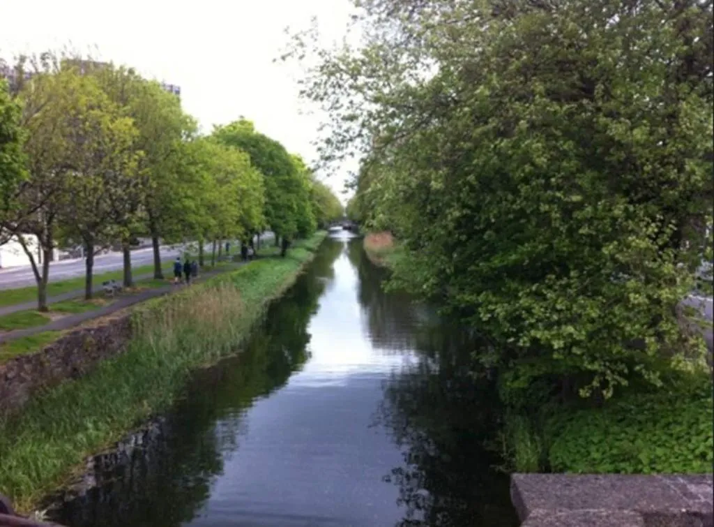 General view, Leeson Bridge Guesthouse, Dublin
