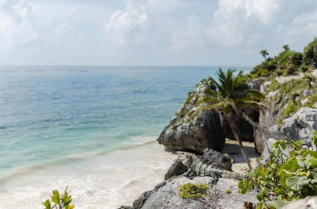 Sports and Entertainment, The Radhoo Adults Only, Cancun Area