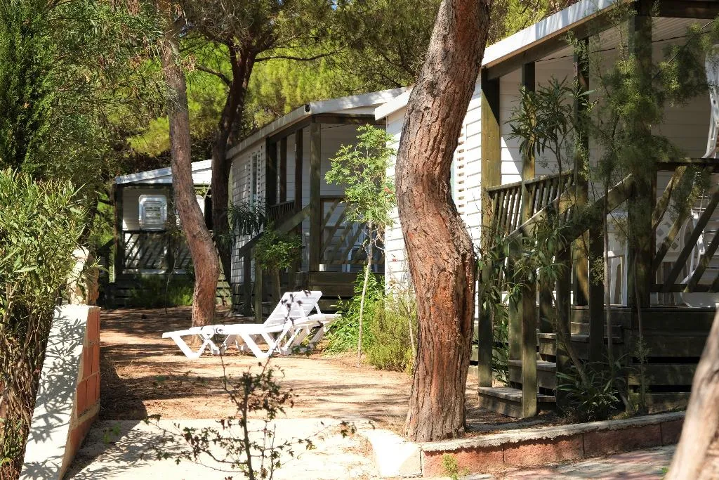 BUNGALOW CLASSIC Room, Torre Del Porticciolo Camping - Village - Gampling, Alghero