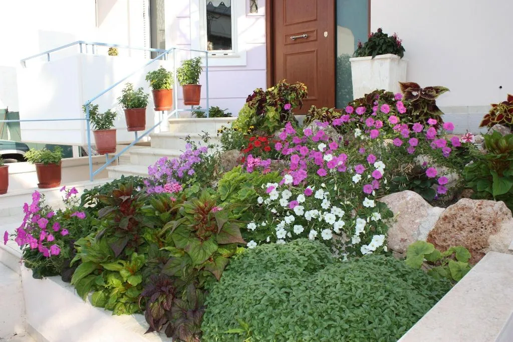 General view, Veggie Garden Athens B&B, Athens