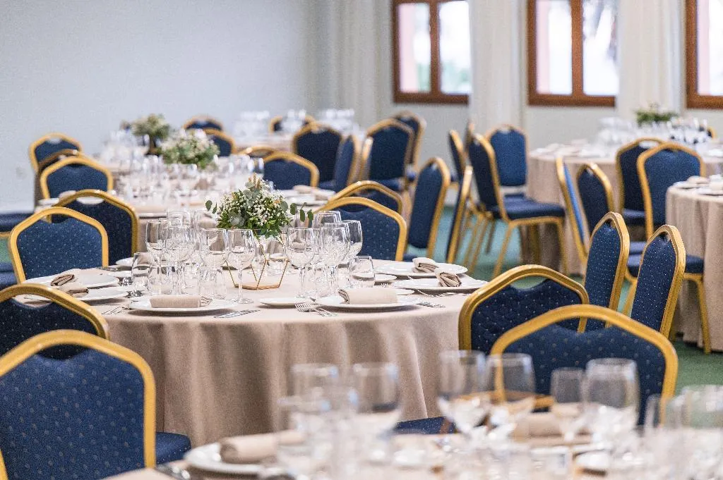 Conferences, Hotel IPV Palace & Spa, Costa Del Sol