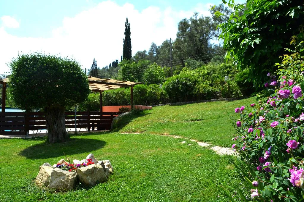 General view, Apartments Despina, Corfu