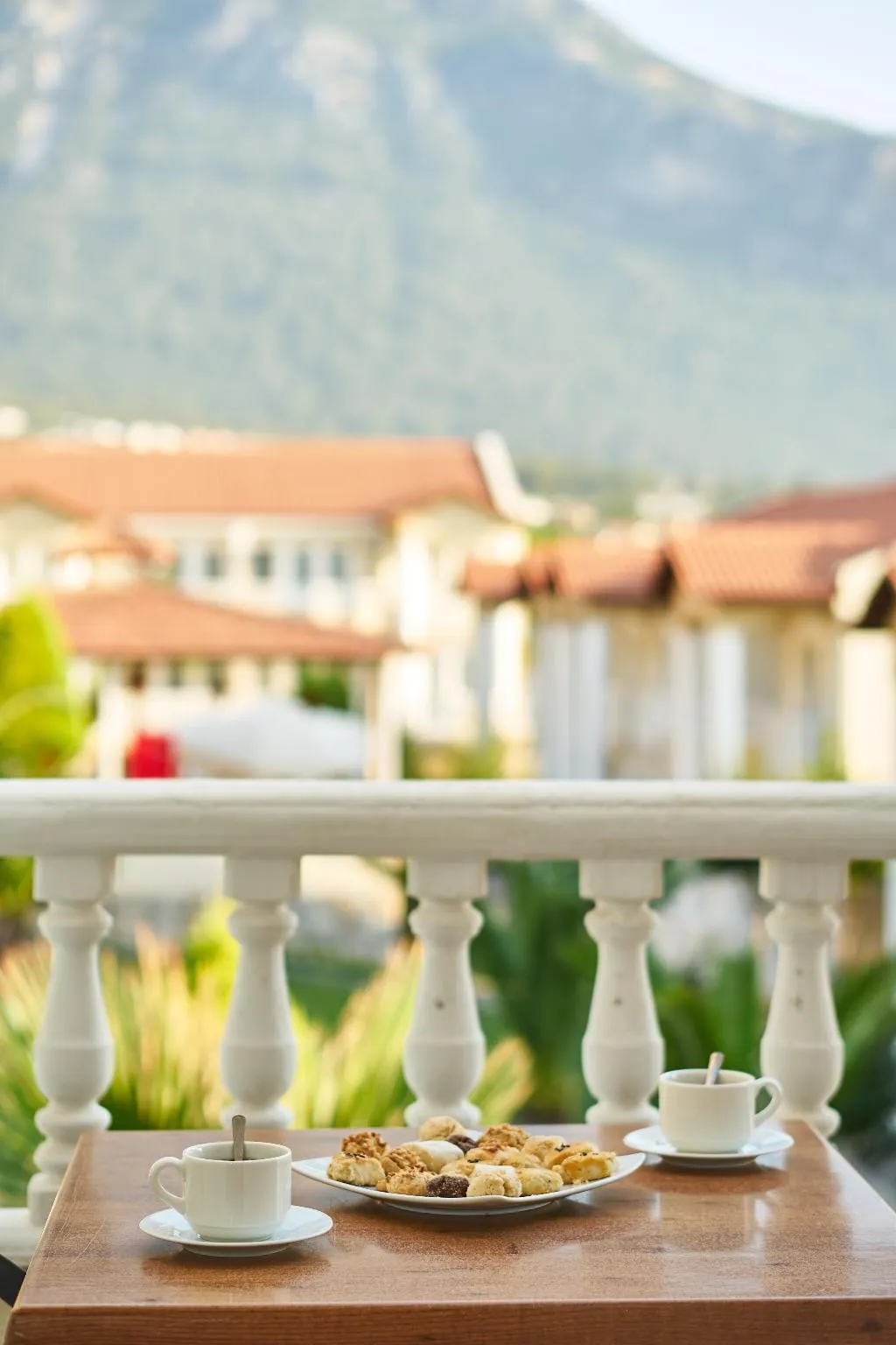 SUITE Accessible Room, Larimar Suite Hotel, Dalaman