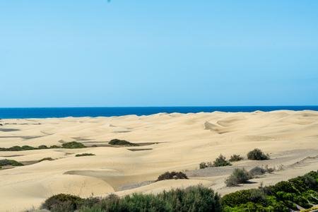 Don Palomon, Gran Canaria