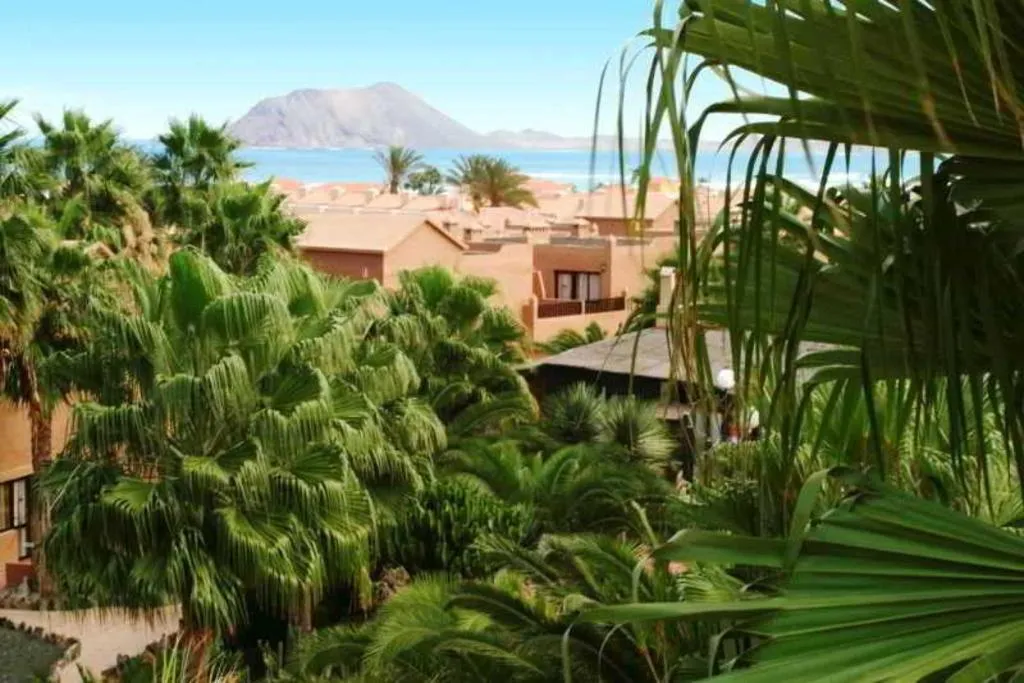 Terrace, Oasis Duna, Fuerteventura