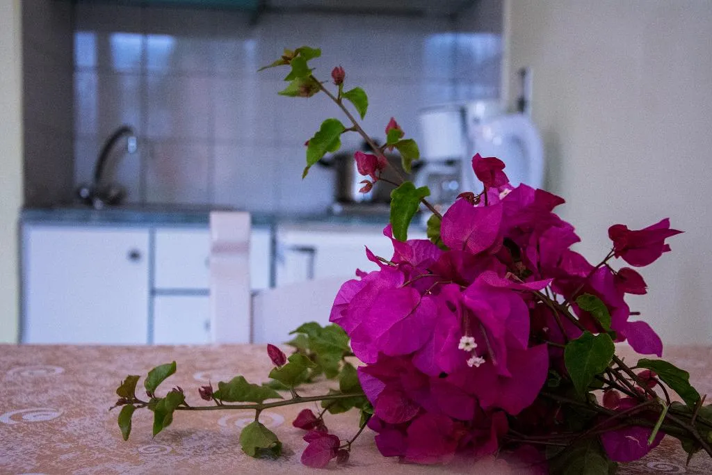STUDIO STANDARD Room, Alkion, Crete