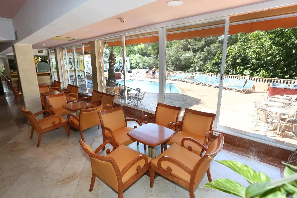 Bar, Manaus, Majorca