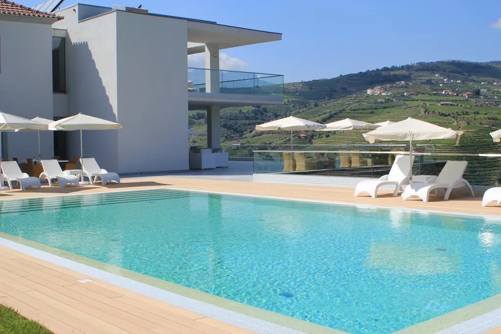 Pool, Delfim Douro Hotel, Porto