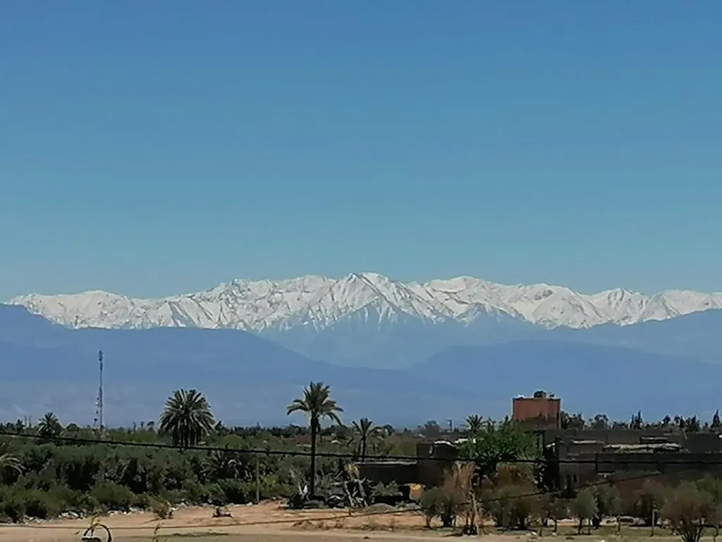 Terrace, Maison Daouia, Marrakech