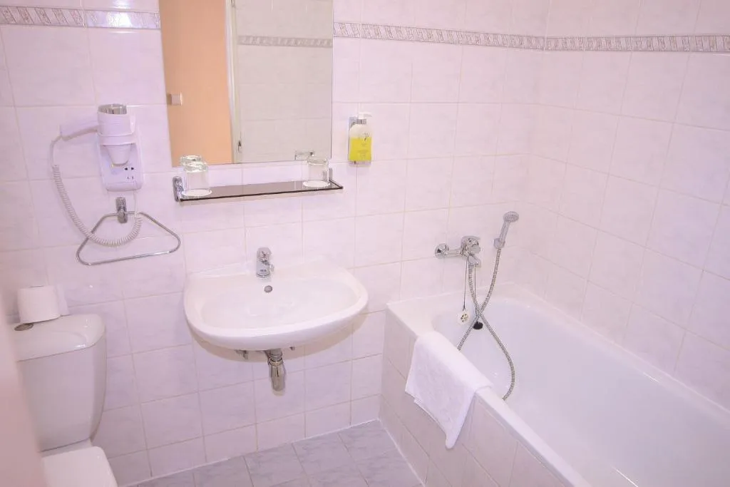 SINGLE STANDARD Room, Dalimil, Prague