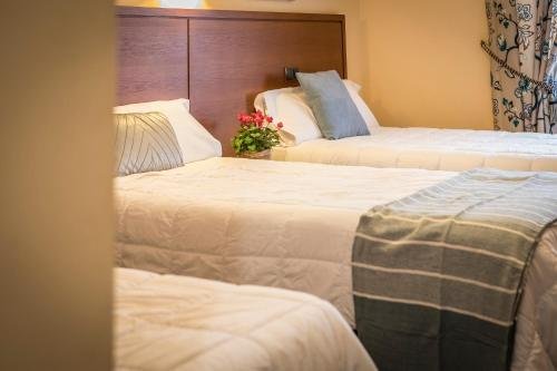 Hotel Rural Juaneca, Madrid