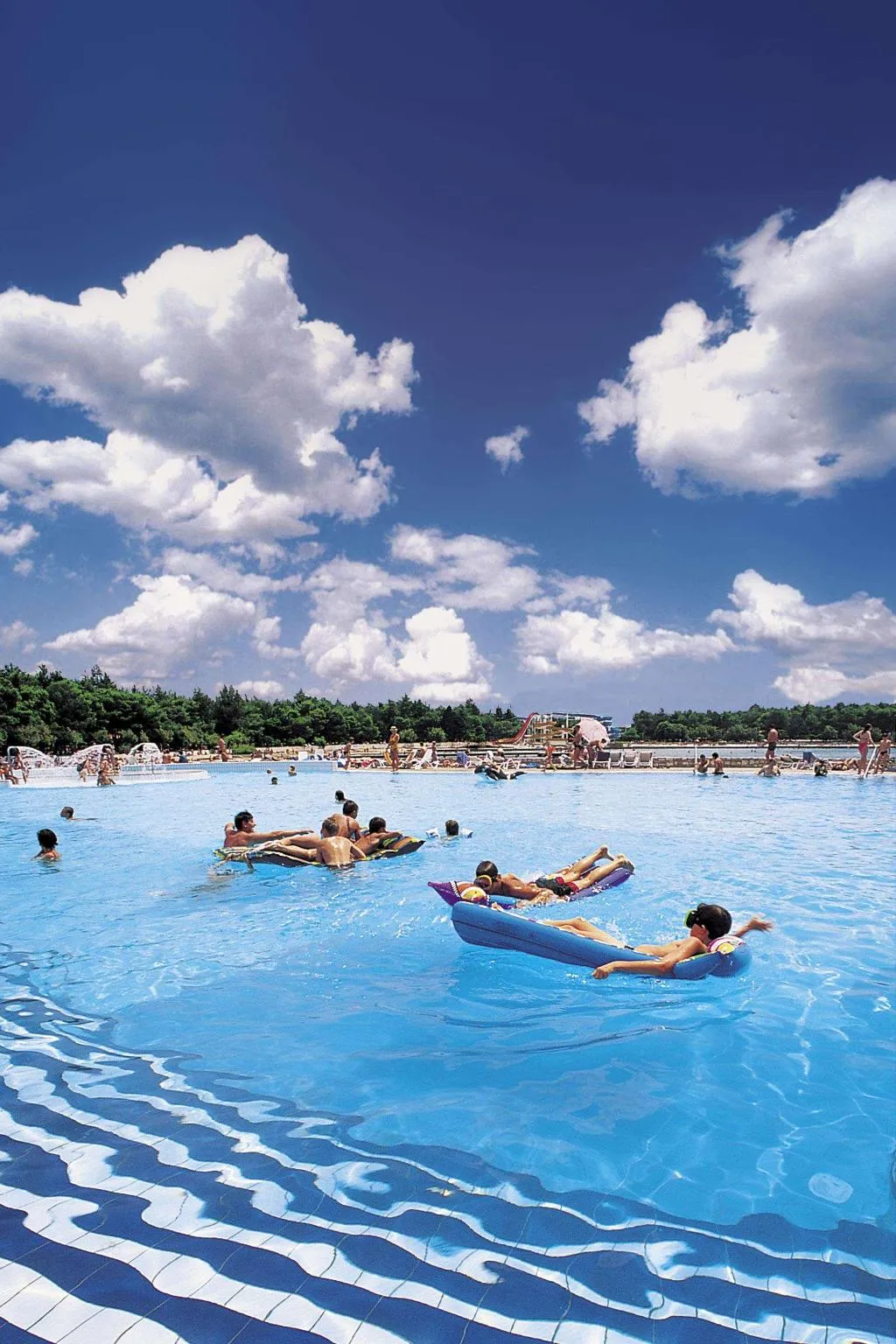 Pool, Apartments Polynesia Plava Laguna, Istria