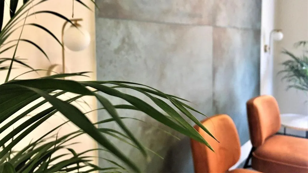Lobby, B&B Mare de Deu Jardines del Turia, Valencia