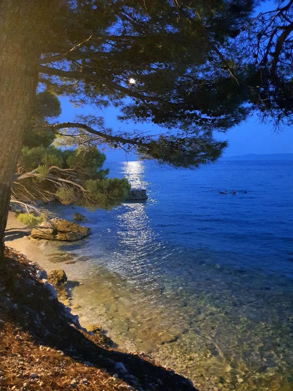 Sports and Entertainment, Violeta Hvar, Split