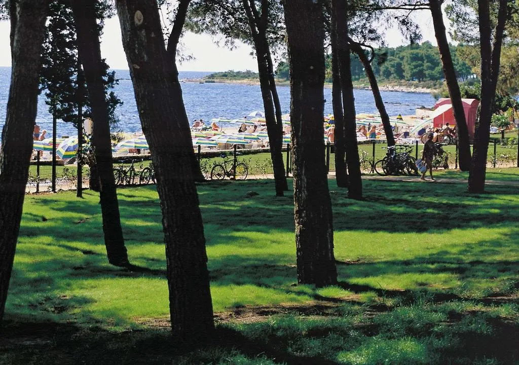 Beach, Hotel Aurora Plava Laguna, Istria