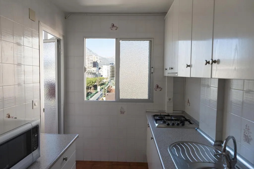 General view, Benidorm Apartamentos Michelangelo, Costa Blanca